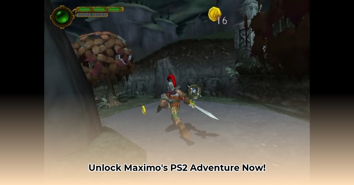 roms-ps2-maximo